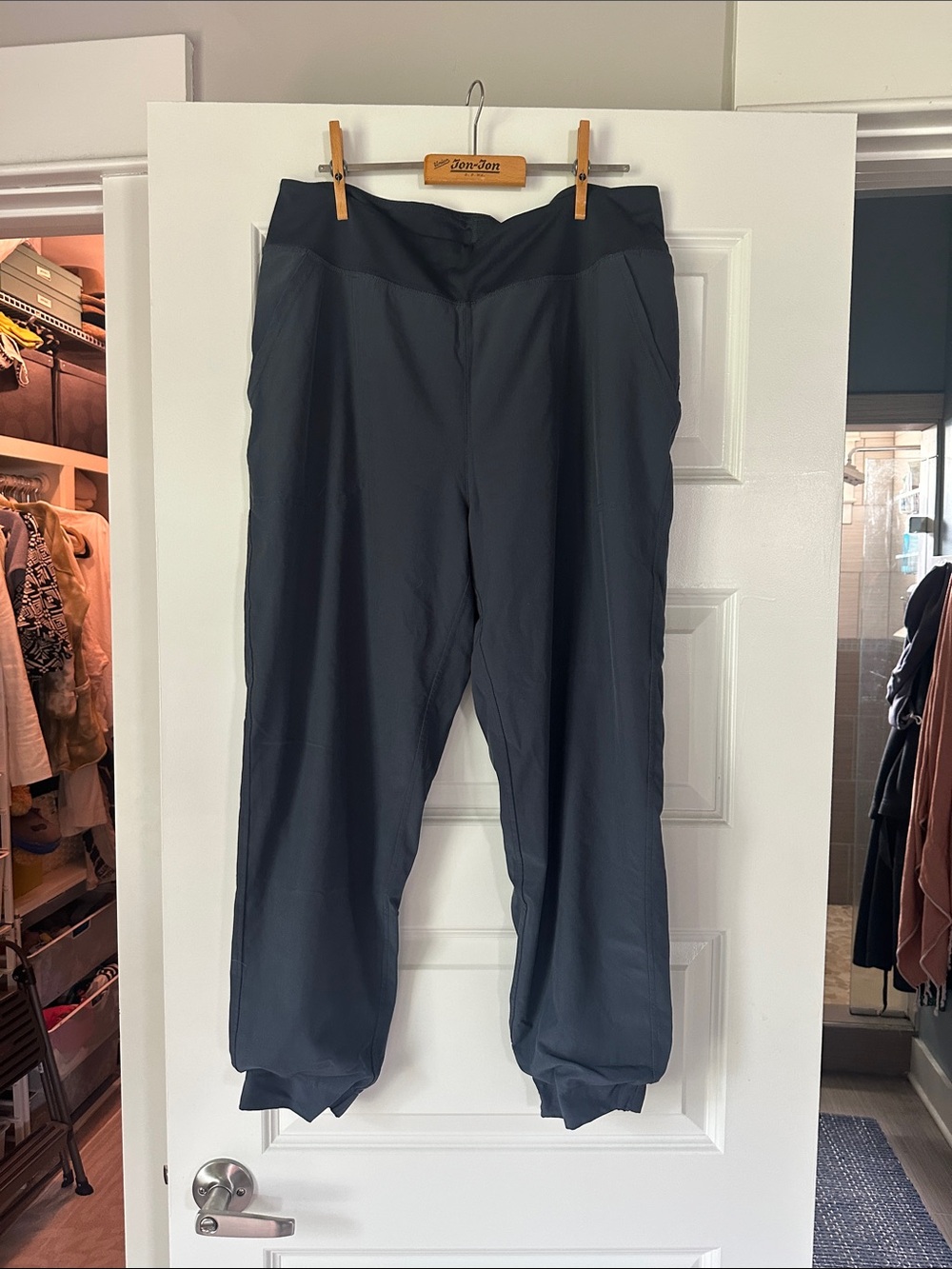 Patagonia lined Performance Pants